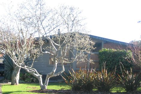 Photo of property in 31 Clematis Avenue, Pukete, Hamilton, 3200