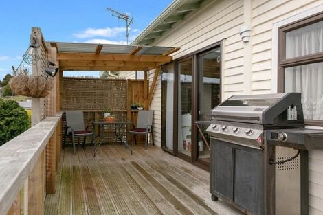 Photo of property in 8 Station Street, Tirau, 3410