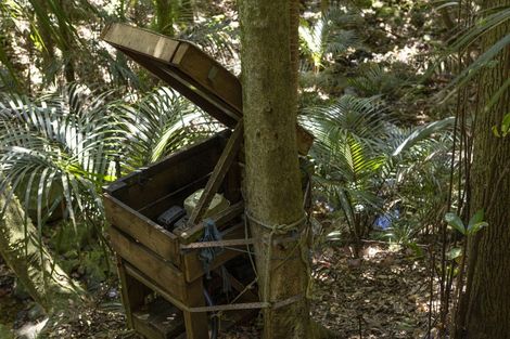 Photo of property in 41 Te Ra Road, Kaeo, Kerikeri, 0295