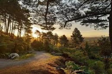 Photo of property in 42 Corbett Drive, Minden, Tauranga, 3176