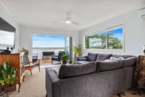 Photo of property in 17 Puriri Street, Te Aroha, 3320