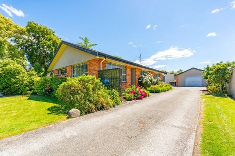 Photo of property in 12 Churchill Place, Waimate, 7924