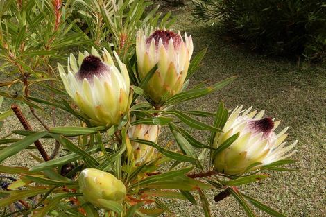 Photo of property in 76 Riverstream Drive, Waipapa, Kerikeri, 0295