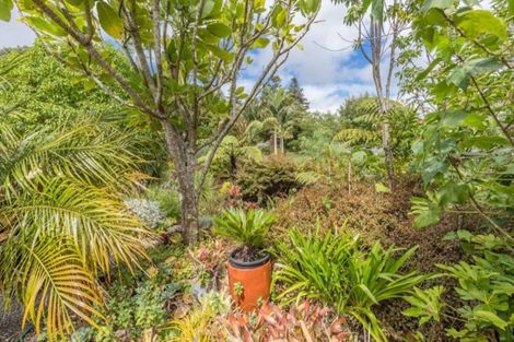 Photo of property in 46 Wiroa Road, Kerikeri, 0293