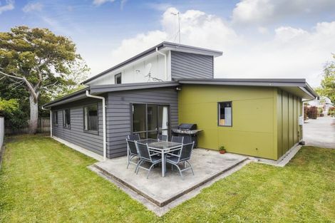 Photo of property in 333c Featherston Street, Palmerston North, 4414