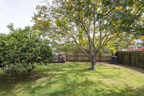 Photo of property in 1 Charwell Place, Highbury, Palmerston North, 4412