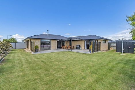 Photo of property in 13 Cressy Place, Darfield, 7510