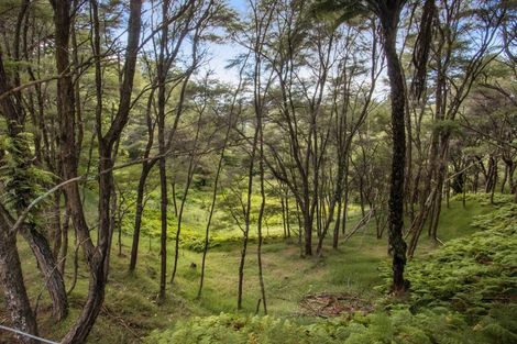 Photo of property in 417 Hot Springs Road, Tahawai, Katikati, 3178