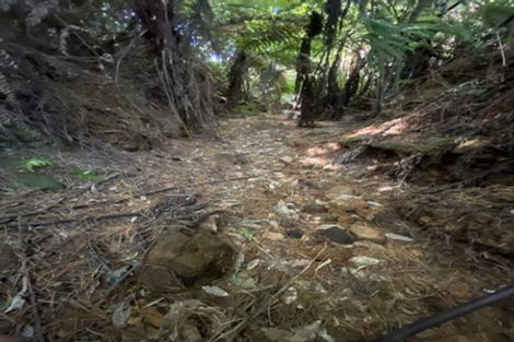 Photo of property in 102 Kennedy Road, Waikino, Waihi, 3682