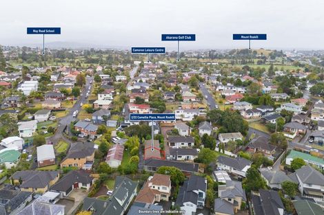 Photo of property in 2/22 Camellia Place, Mount Roskill, Auckland, 1041