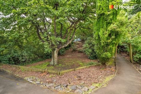 Photo of property in 58 Chambers Street, North East Valley, Dunedin, 9010