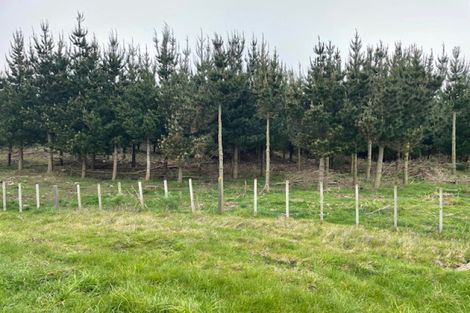 Photo of property in 1387 Santoft Road, Santoft, Bulls, 4894