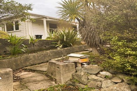 Photo of property in 78 Buccleugh Street, North East Valley, Dunedin, 9010