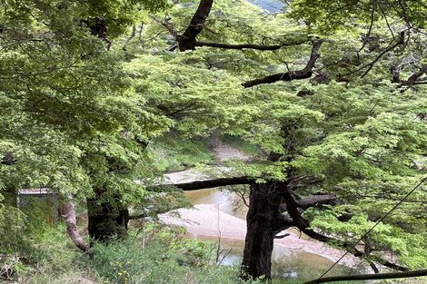 Photo of property in 3896 Ngahape Road, Ngahape, Masterton, 5890