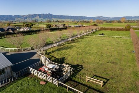 Photo of property in 555 Taihoa South Road, Matamata, 3473