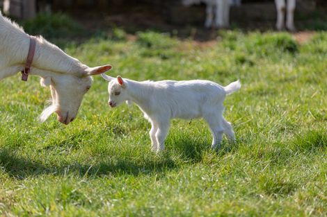 Photo of property in 1469 Motueka Valley Highway, Ngatimoti, Motueka, 7196