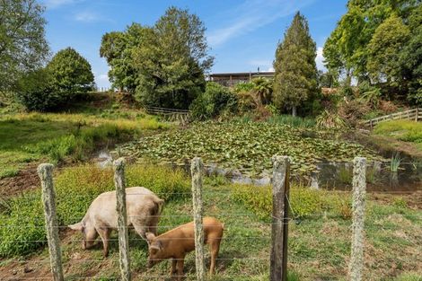 Photo of property in 779 Makuri Road, Huiroa, Stratford, 4392