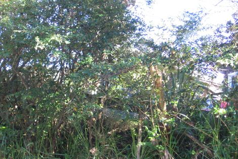 Photo of property in 57 Shetland Street, Glen Eden, Auckland, 0602