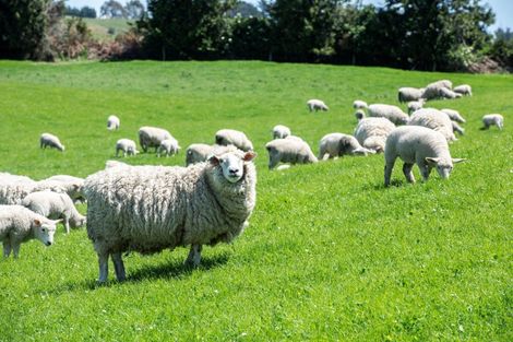 Photo of property in 23 Waikaka Valley Highway, Willowbank, Gore, 9771