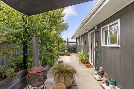 Photo of property in 42 Treadwell Street, Springvale, Whanganui, 4501