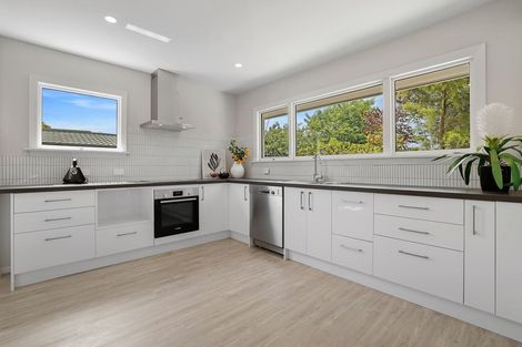 Photo of property in 6 Jed Lane, St Albans, Christchurch, 8052