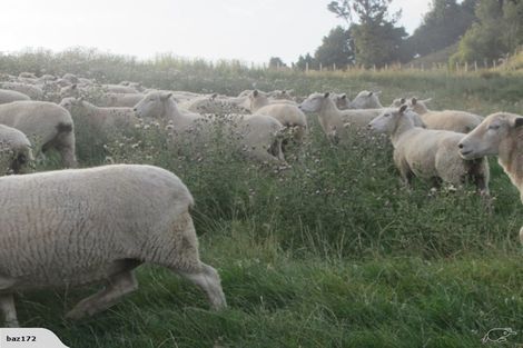 Photo of property in 54 Williamson Road, Manunui, Taumarunui, 3994