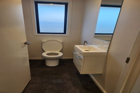 Photo of property in 5 Lotus Street, Appleby, Richmond, 7020