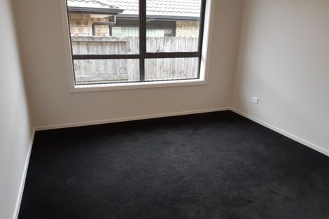 Photo of property in 224 Borman Road, Rototuna North, Hamilton, 3210