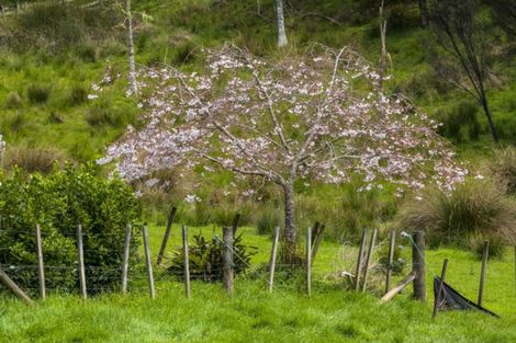 Photo of property in 9 Cory Road, Kaukapakapa, 0873