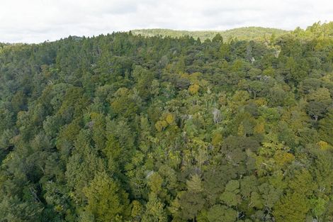 Photo of property in 15 Te Aute Ridge Road, Waitakere, Auckland, 0781