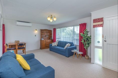 Photo of property in 30 Collingwood Street, Levin, 5510