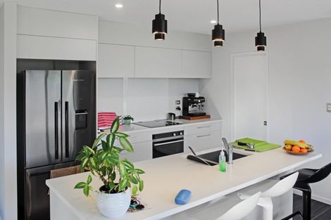 Photo of property in 25 Zabeel Street, Lincoln, 7608