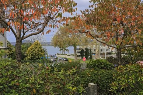 Photo of property in 2/19 Sixth Avenue, Tauranga, 3110