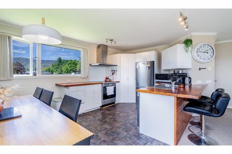 Photo of property in 14 Sherwood Place, Tapanui, 9522