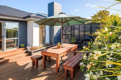 Photo of property in 14 Stonebridge Heights, Feilding, 4702