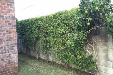 Photo of property in 7 Otahuri Crescent, Greenlane, Auckland, 1051