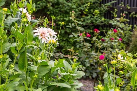 Photo of property in 53 Brandon Street, Featherston, 5710