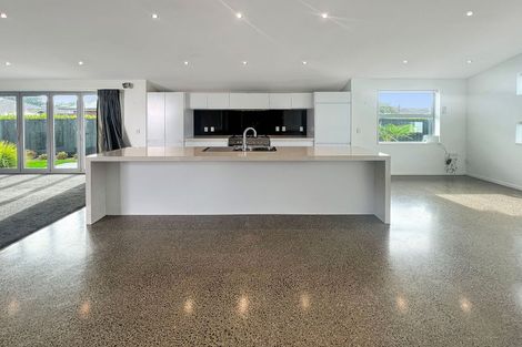 Photo of property in 95 Allison Crescent, Kaiapoi, 7630