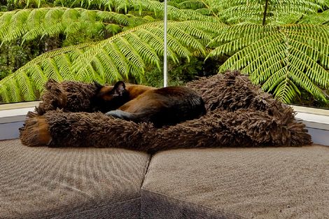 Photo of property in 53a Onedin Place, Titirangi, Auckland, 0604