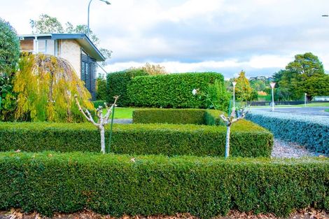 Photo of property in 125 Jickell Street, Hokowhitu, Palmerston North, 4410