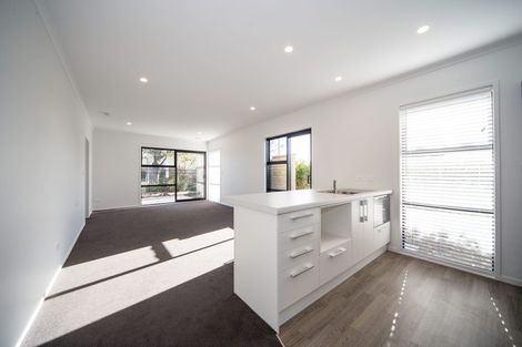 Photo of property in 9a Martin Street, Fairfield, Hamilton, 3214