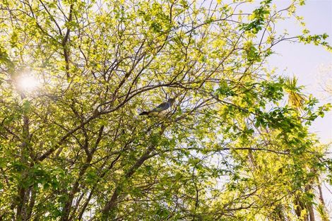 Photo of property in 41 Wharf Road, Port Levy, Diamond Harbour, 8972