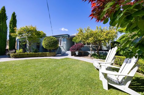 Photo of property in 11 Keats Terrace, Leamington, Cambridge, 3432