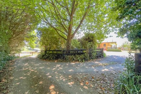 Photo of property in 443a Puketutu Road, Matamata, 3472