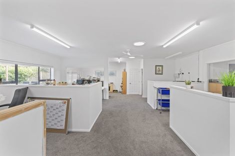 Photo of property in 826 Runciman Road, Runciman, Drury, 2578