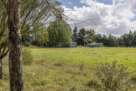 Photo of property in 246 Amberley Beach Road, Amberley, 7481