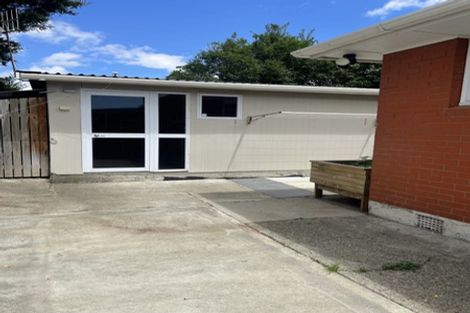 Photo of property in 160 Roslyn Road, Levin, 5510