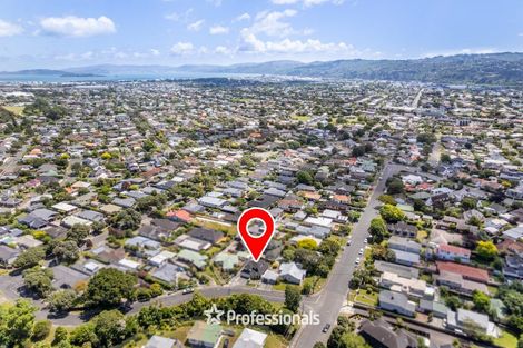 Photo of property in 295 Riverside Drive, Waterloo, Lower Hutt, 5011