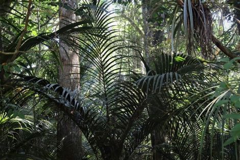 Photo of property in 16 Otaere Road, Okaihau, 0475