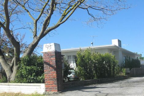 Photo of property in 93a Scott Street, Blenheim, 7201